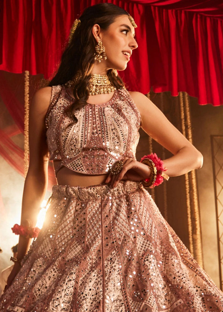 Shades Of Brown Net Lehenga Choli with Embroidery and Sparkling Sequins Work - House of Sarvati LLC