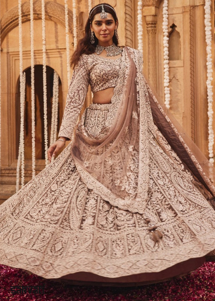 Shades Of Brown Net Lehenga Choli with Embroidery and Sparkling Sequins Work - House of Sarvati LLC
