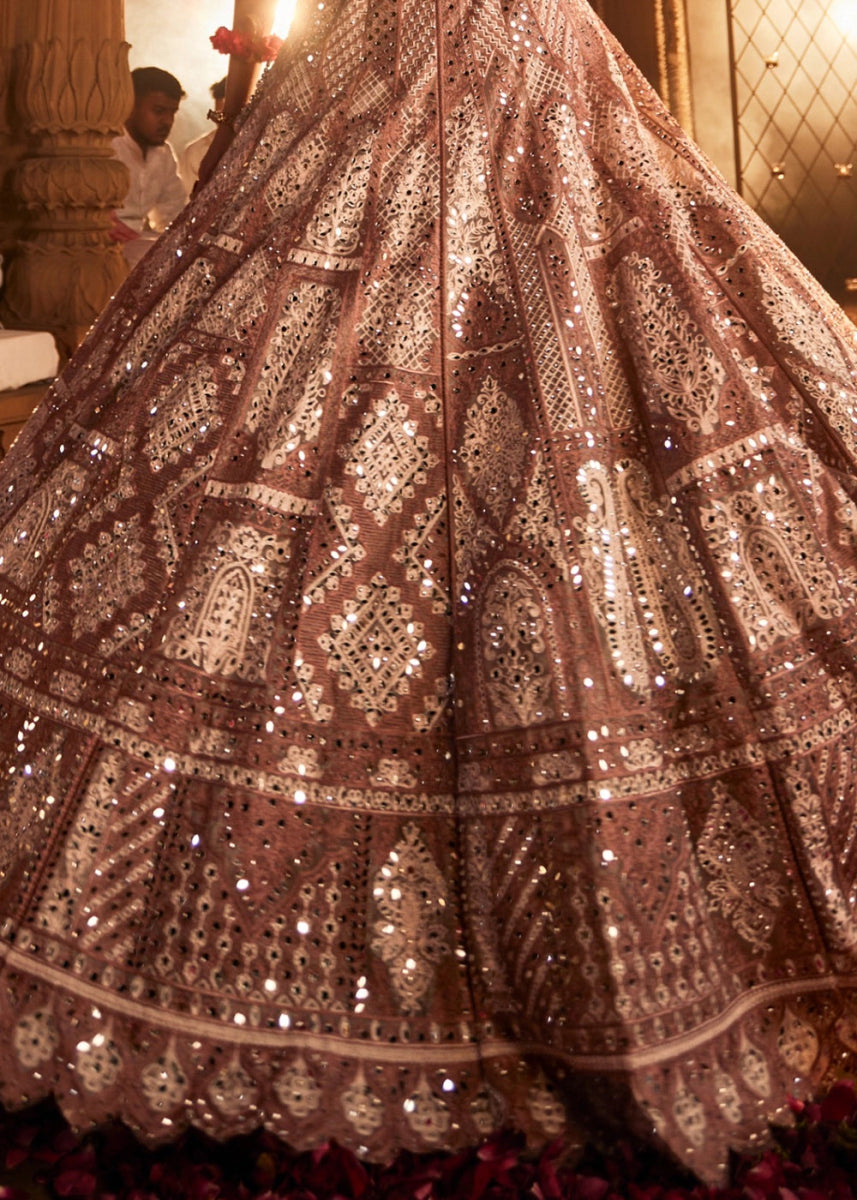 Shades Of Brown Net Lehenga Choli with Embroidery and Sparkling Sequins Work - House of Sarvati LLC